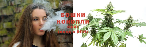 сатива Верея