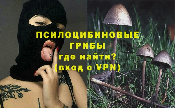 сатива Верея