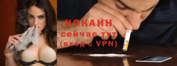 индика Семикаракорск