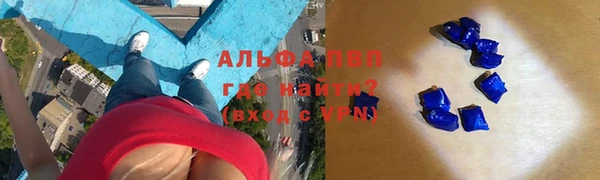 сатива Верея