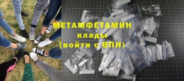 сатива Верея