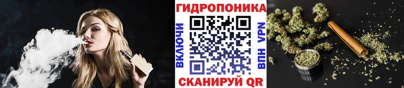 OMG вход  Луховицы  Шишки марихуана планчик  купить наркотики цена 